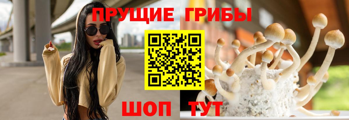 Острогожск  Галлюциногенные грибы Psilocybe  Вход с VPN 
