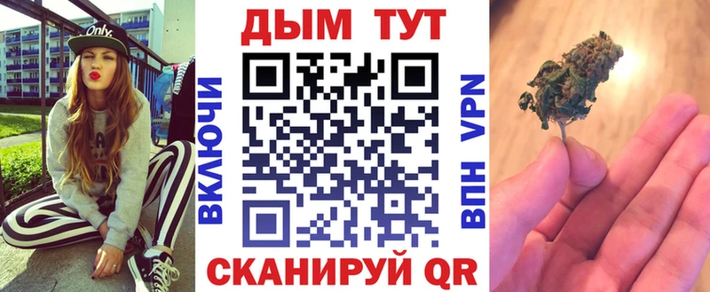 где купить наркоту  Острогожск  Конопля семена 